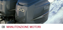 Manutenzione motori entro e fuori bordo: Yamaha Suzuki Mercury Honda Volvopenta Yanmar Nanni Rapallo Santa Margherita Ligure Chiavari Lavagna Portofino